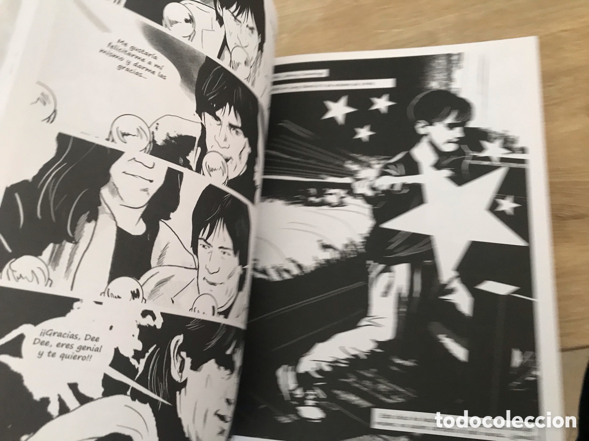 C&oacute;mics: Ramones. Jim McCarthy. Ma non troppo - Foto 6