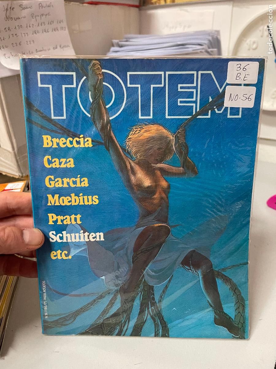 Comics : TOTEM EDITORIAL NUEVA FRONTERA NUMERO 36 NORMAL ESTADO
