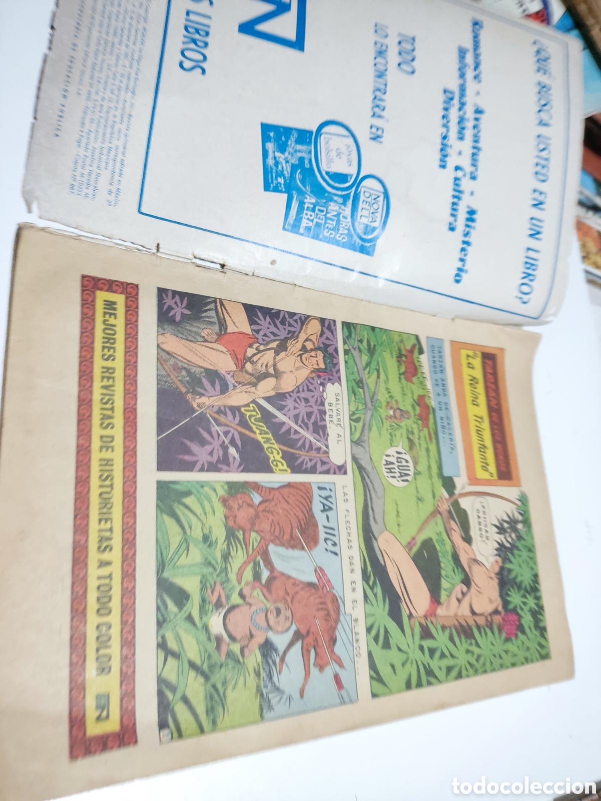 C&oacute;mics: C&oacute;mic Tarz&aacute;n de los monos - Foto 2