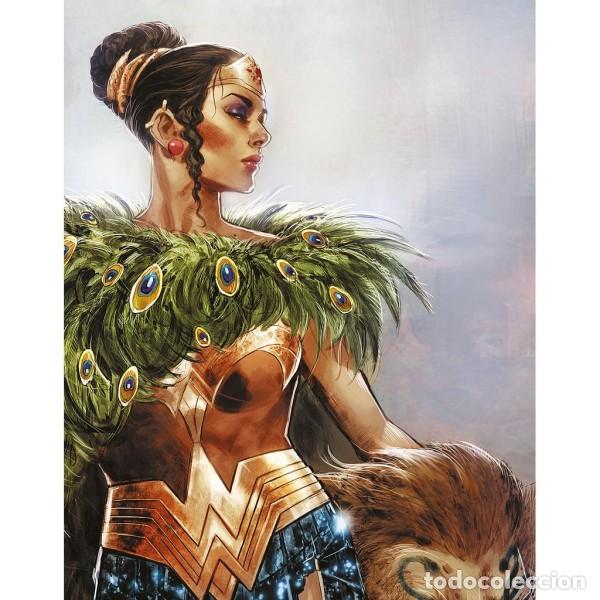 C&oacute;mics: WONDER WOMAN HISTORIA: LAS AMAZONAS (ECC) ---RECOMENDADO---- - Foto 2