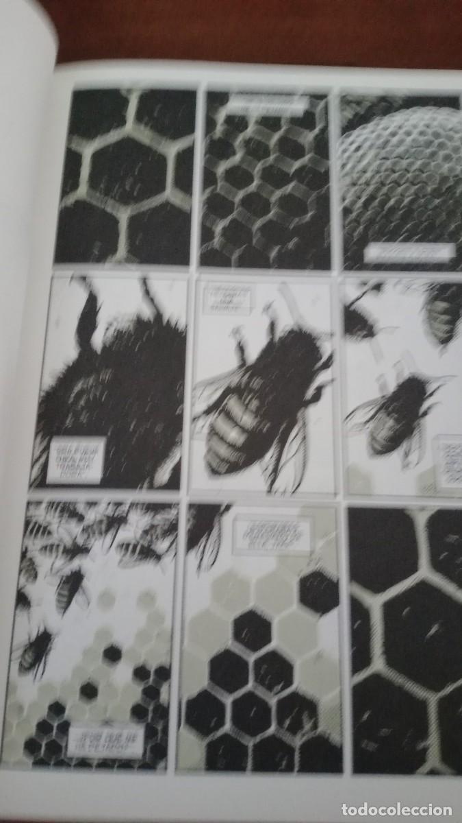 C&oacute;mics: SEMILLAS. ASTIBERRI . NOCENTI/AJA - Foto 3