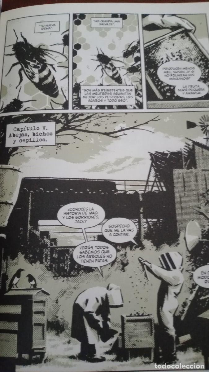 C&oacute;mics: SEMILLAS. ASTIBERRI . NOCENTI/AJA - Foto 4