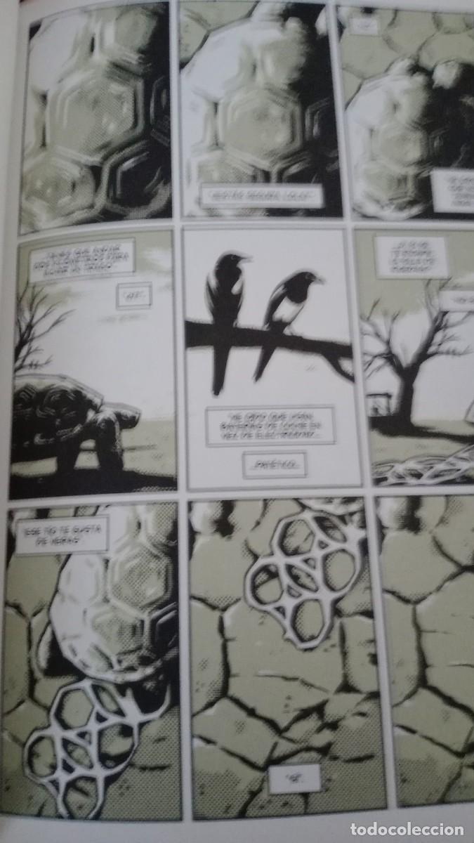 C&oacute;mics: SEMILLAS. ASTIBERRI . NOCENTI/AJA - Foto 6