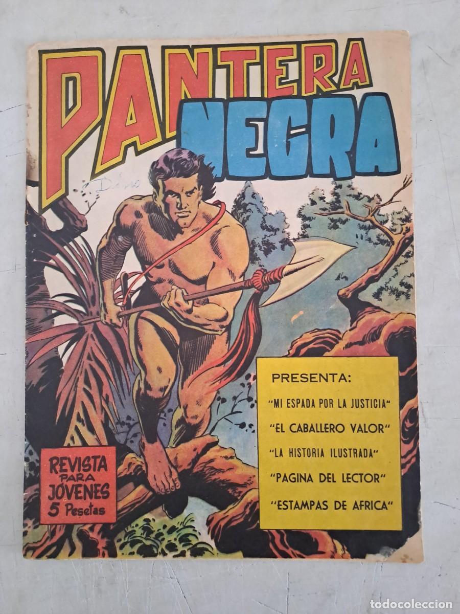 C&oacute;mics: Pantera negra 1, Maga en buen estado - Foto 1