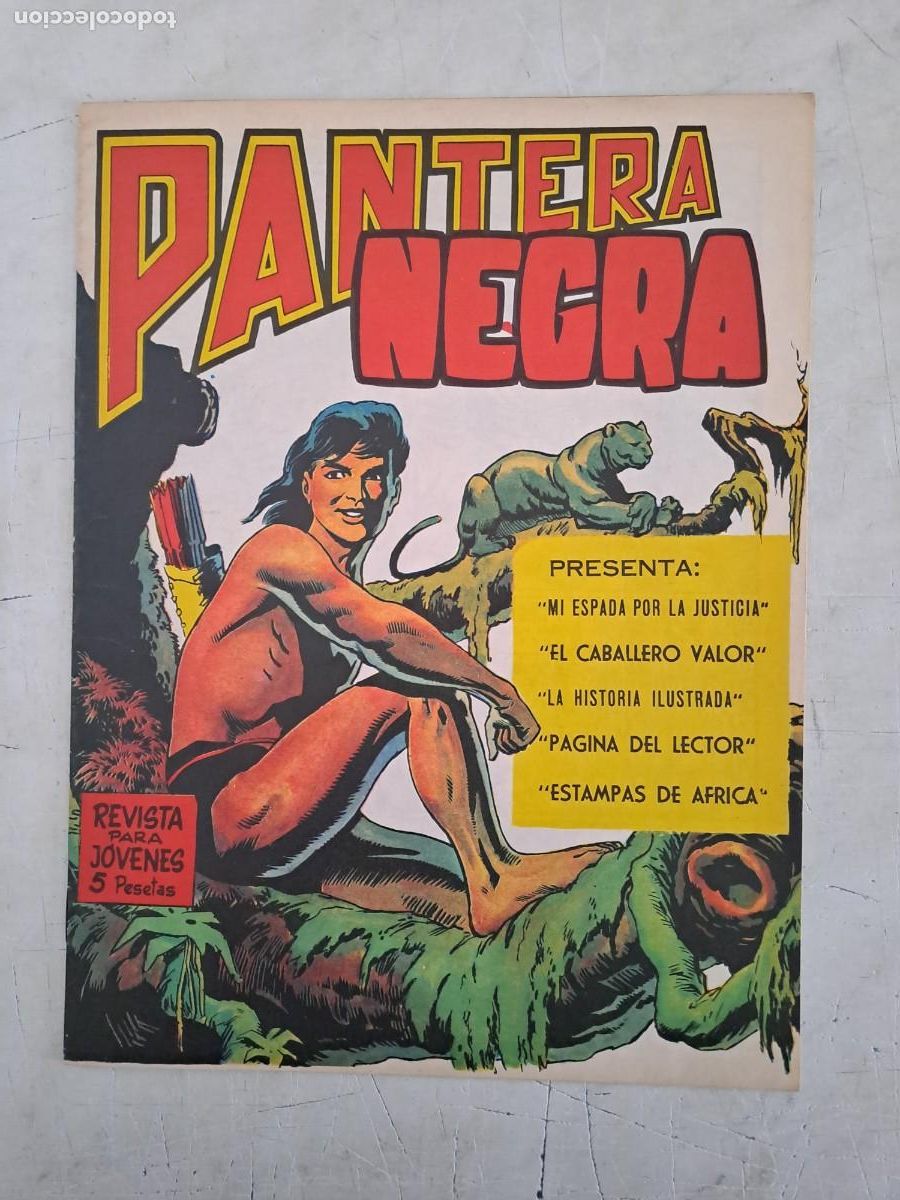 C&oacute;mics: Pantera negra 4, Maga en perfecto estado - Foto 1