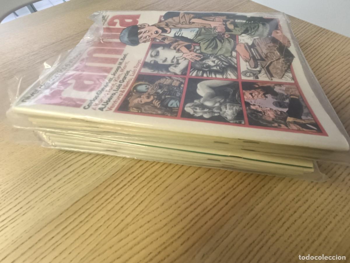 C&oacute;mics: Rambla. Nivel de comics e imagen. Del 1 al 12. Muy buen estado. - Foto 2