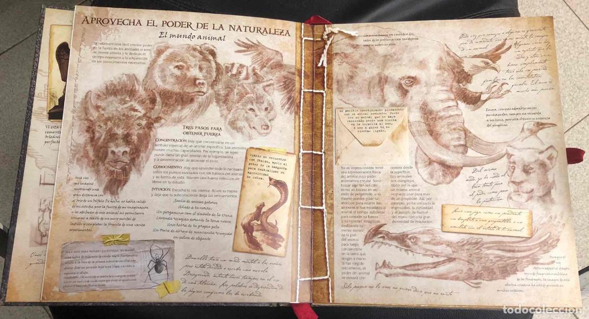 C&oacute;mics: LIBRO DE MAGIA. GUIA PRACTICA. SANTILLANA - Foto 6