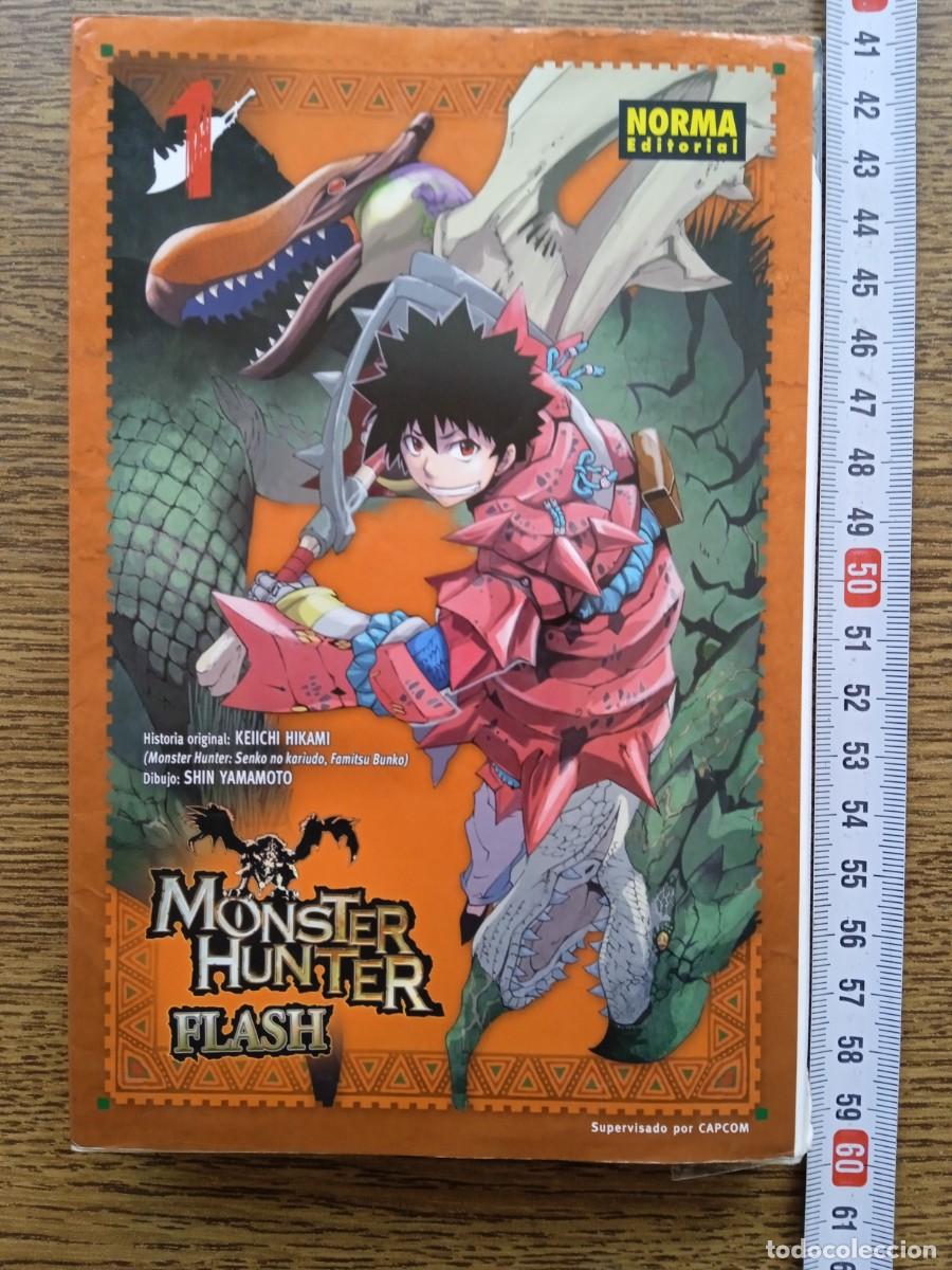C&oacute;mics: Comic Monster Hunter flash (216) - Foto 1