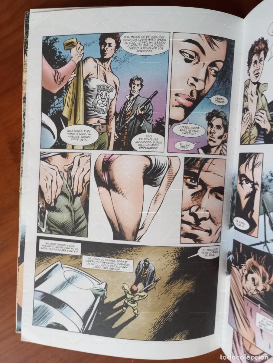 C&oacute;mics: TERRITORIO 1 DARK HORSE COMICS AC ALEX COMICS COMIC1 - Foto 7