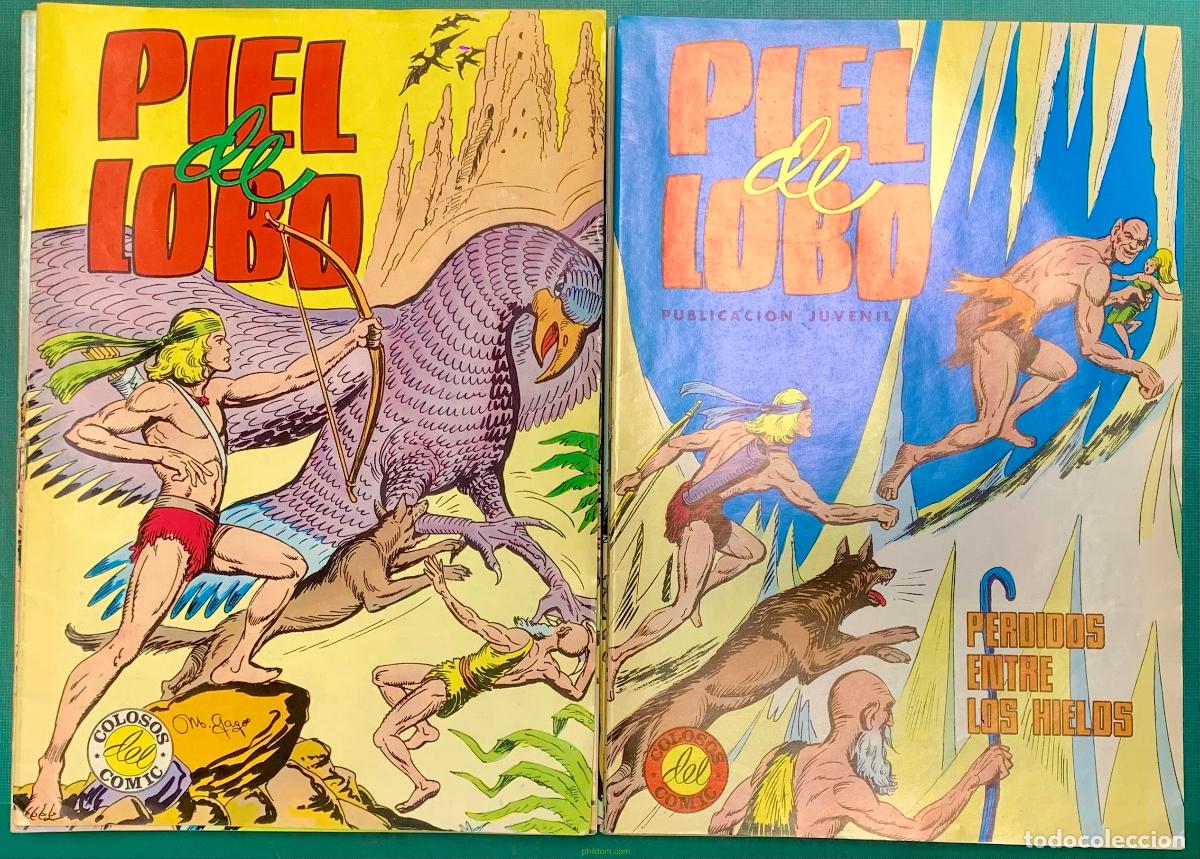 C&oacute;mics: PIEL DE LOBO COLOSOS DEL COMIC. COMPLETA 20 TEBEOS - Foto 2