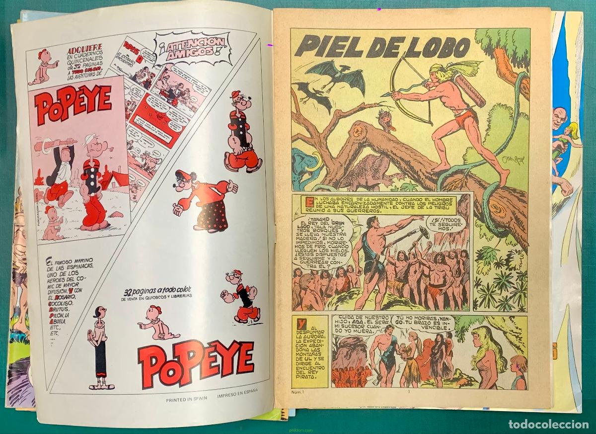 C&oacute;mics: PIEL DE LOBO COLOSOS DEL COMIC. COMPLETA 20 TEBEOS - Foto 3