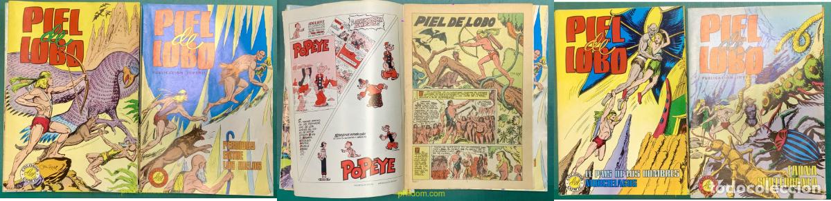 C&oacute;mics: PIEL DE LOBO COLOSOS DEL COMIC. COMPLETA 20 TEBEOS - Foto 1