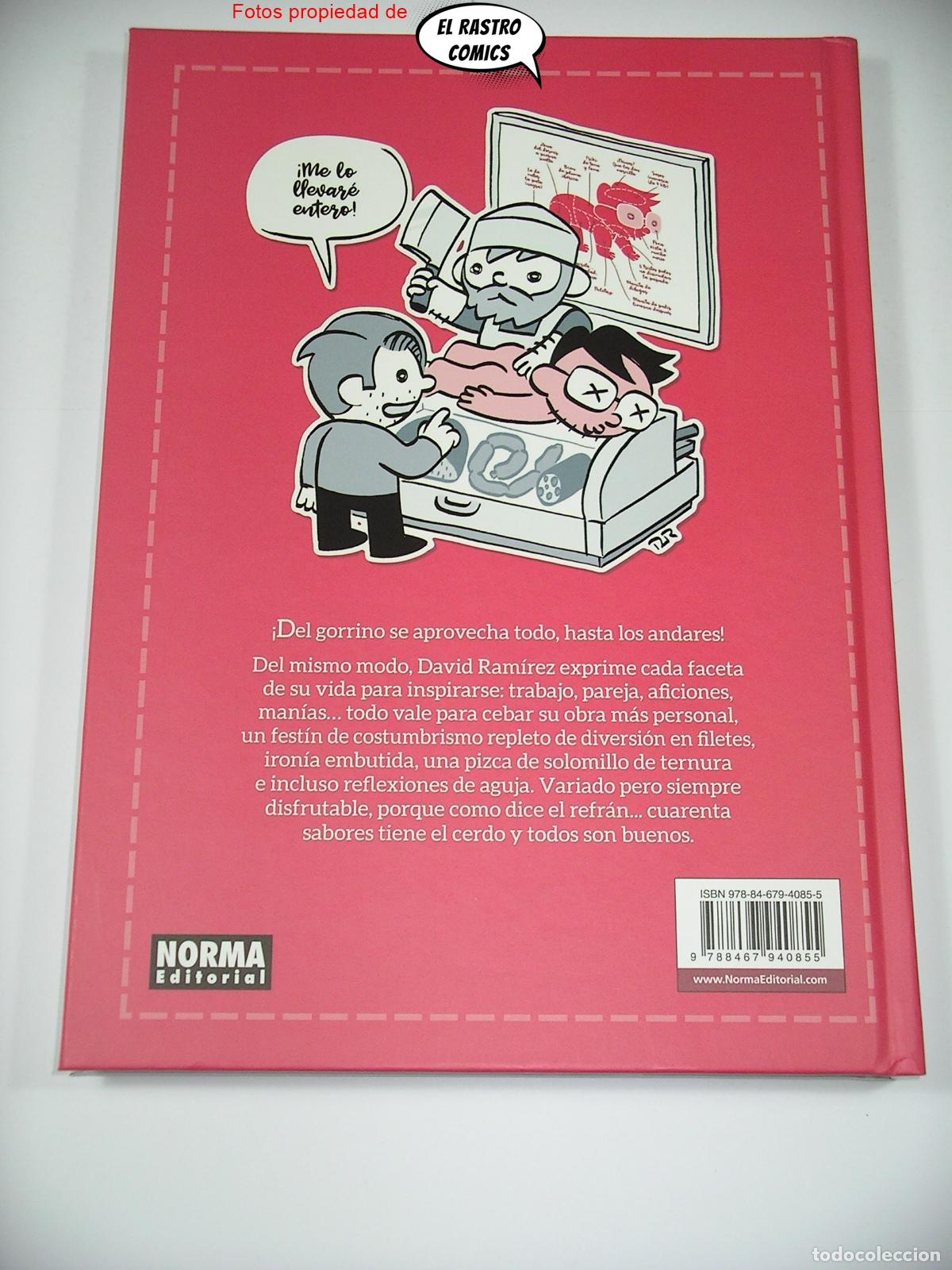 C&oacute;mics: Tal cual + Conviviendo 19 d&iacute;as, David Ramirez, ed. Norma 2020 - Foto 6