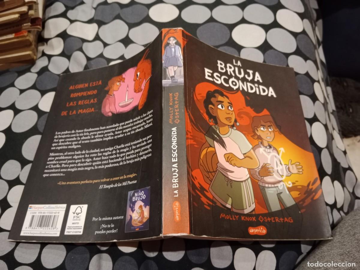 C&oacute;mics: LA BRUJA ESCONDIDA DE MOLLY KNOX OSTERTAG - Foto 1