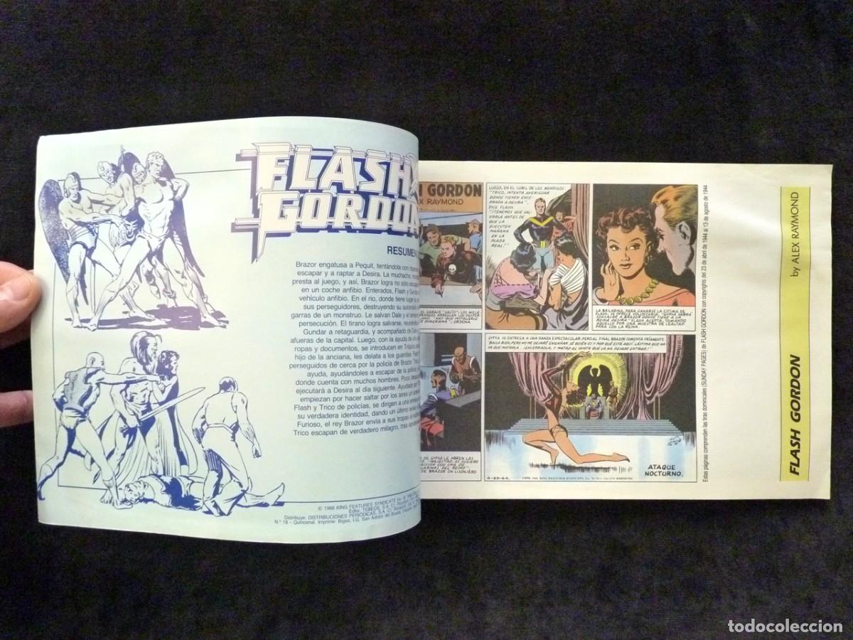 C&oacute;mics: LOTE DE 4 COMICS FLASH GORDON, ALEX RAYMOND. VARIAS EDITORIALES - Foto 10