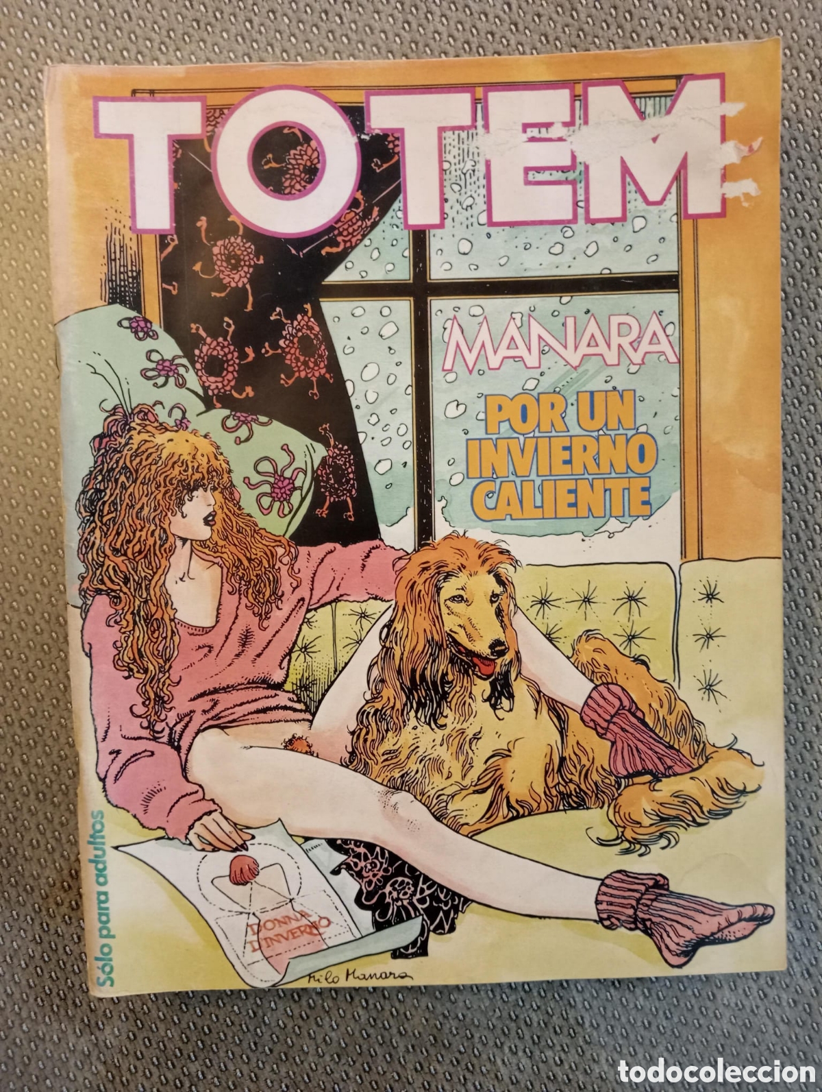 Comics: TOTEM. N&uacute;mero 62. Revista. Comics