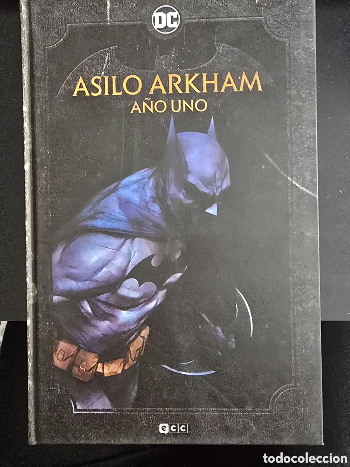 C&oacute;mics: ASILO ARKHAM A&Ntilde;O UNO. ECC - Foto 1