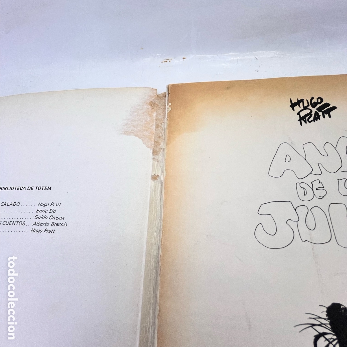C&oacute;mics: T&Oacute;TEM - ANA DE LA JUNGLA - Hugo Prat - 1979 - Foto 4