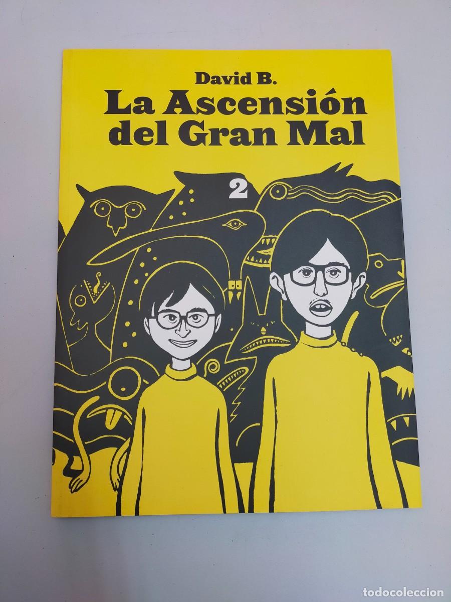 C&oacute;mics: LA ASCENSI&Oacute;N DEL GRAN MAL 2, de David B. SINS ENTIDO - Foto 1