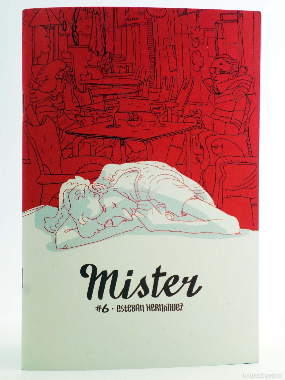 C&oacute;mics: MISTER 6 (Esteban Hern&aacute;ndez) Usted, 2025. NVED - Foto 1