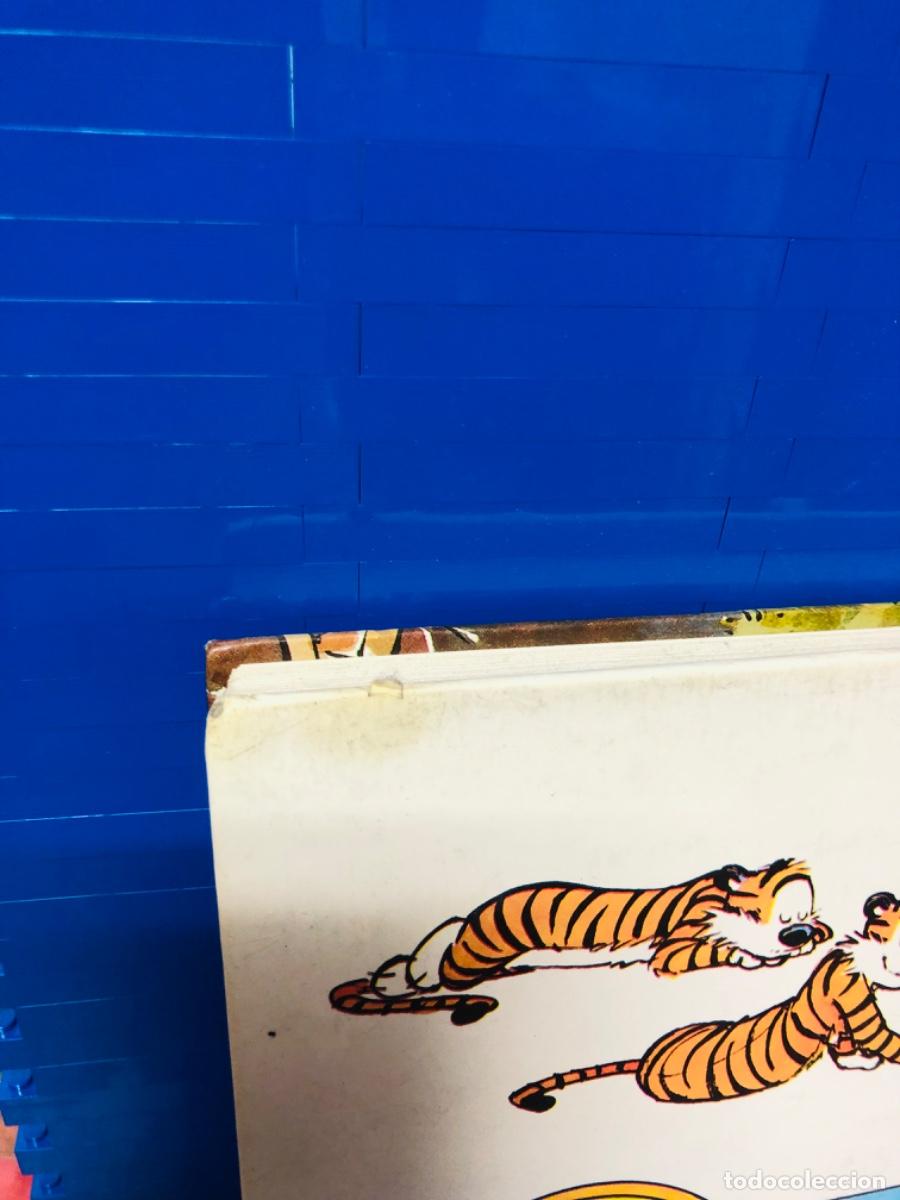 C&oacute;mics: EL NUEVO CALVIN Y HOBBES CL&Aacute;SICO - EDICIONES B - BILL WATTERSON - 2000 - Foto 3