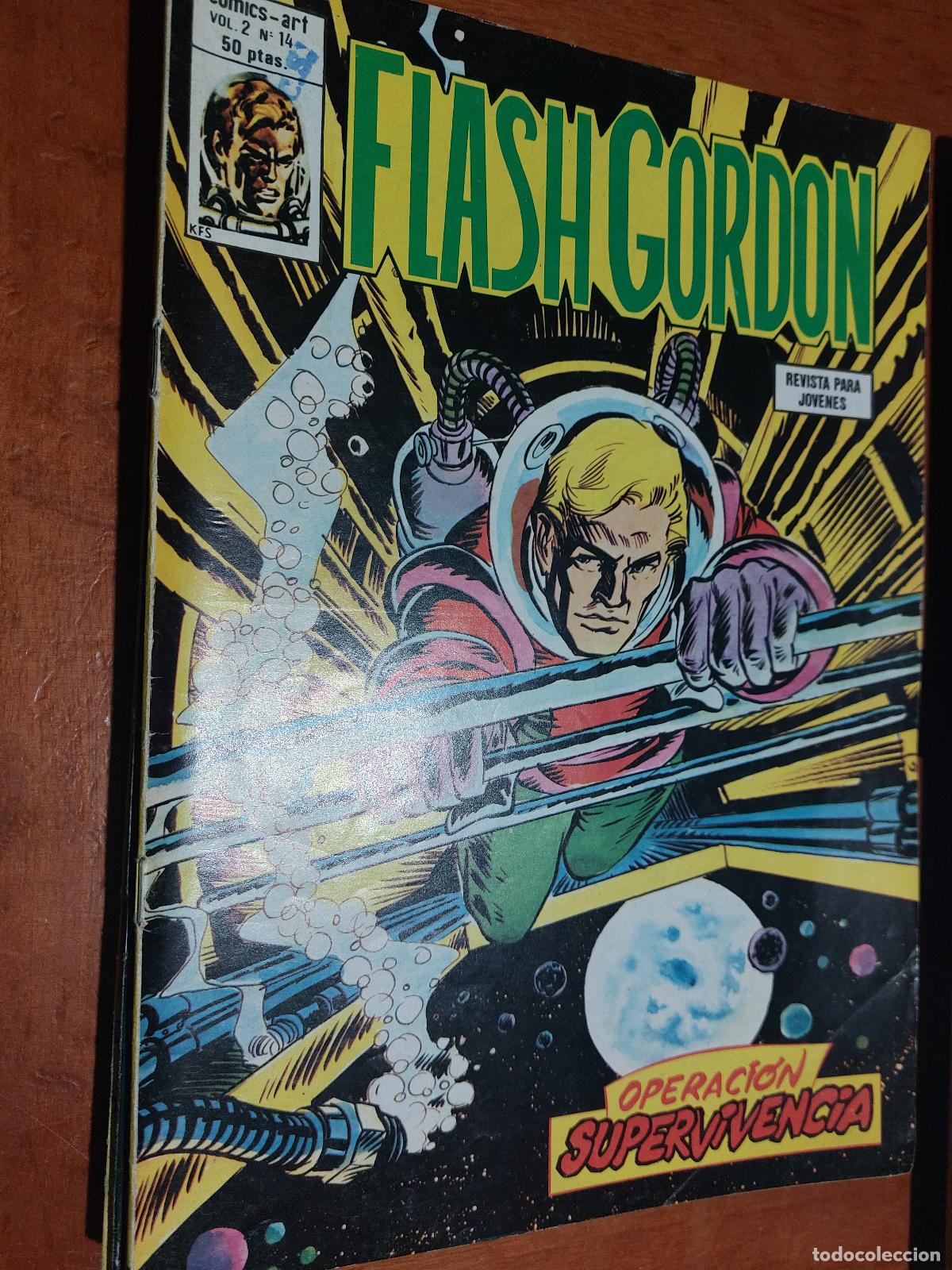 C&oacute;mics: FLASH GORDON. VOL. 2. N&ordm; 14. GRAPA. EDICIONES V&Eacute;RTICE. BUEN ESTADO - Foto 1