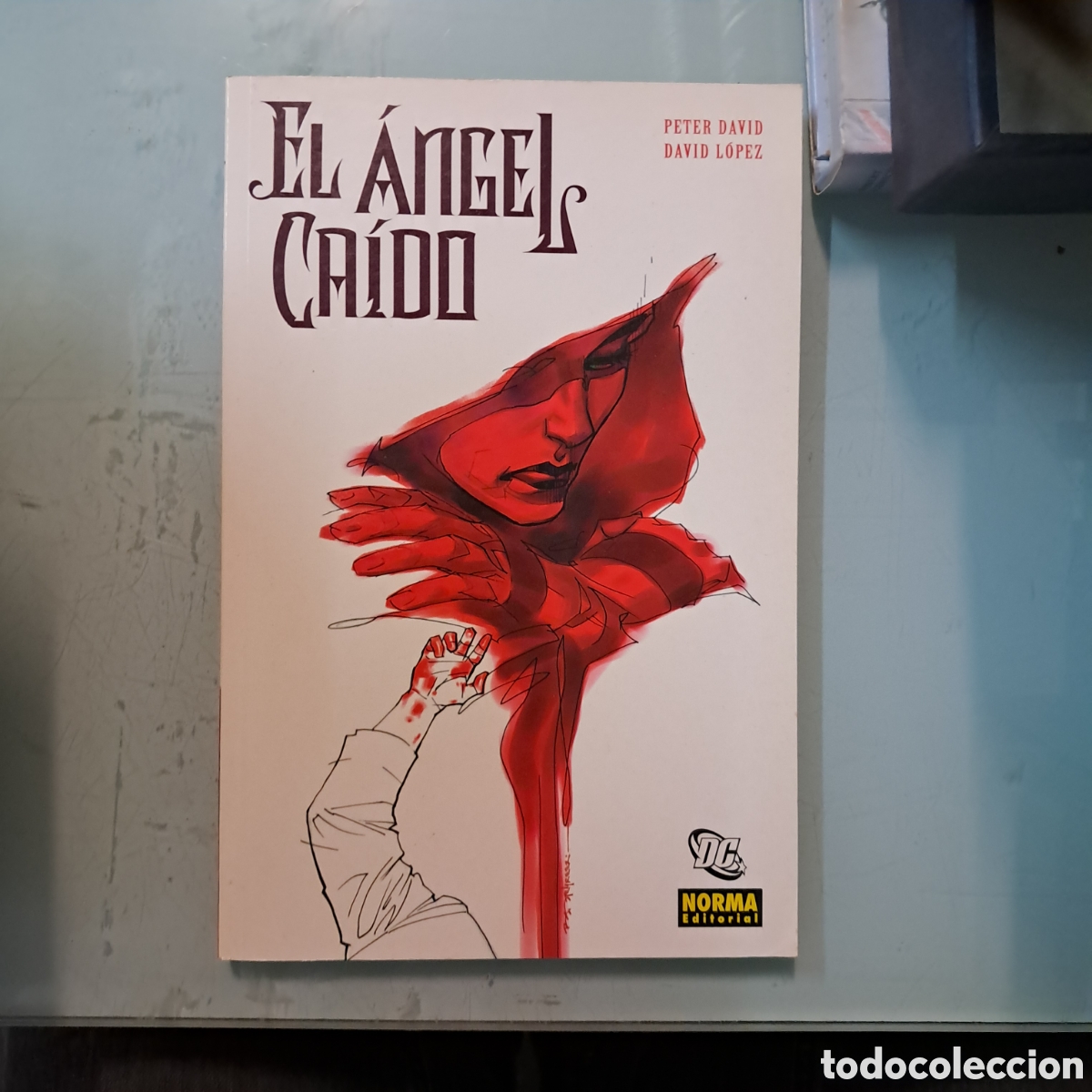 C&oacute;mics: Peter David El &aacute;ngel ca&iacute;do,1, Norma - Foto 1