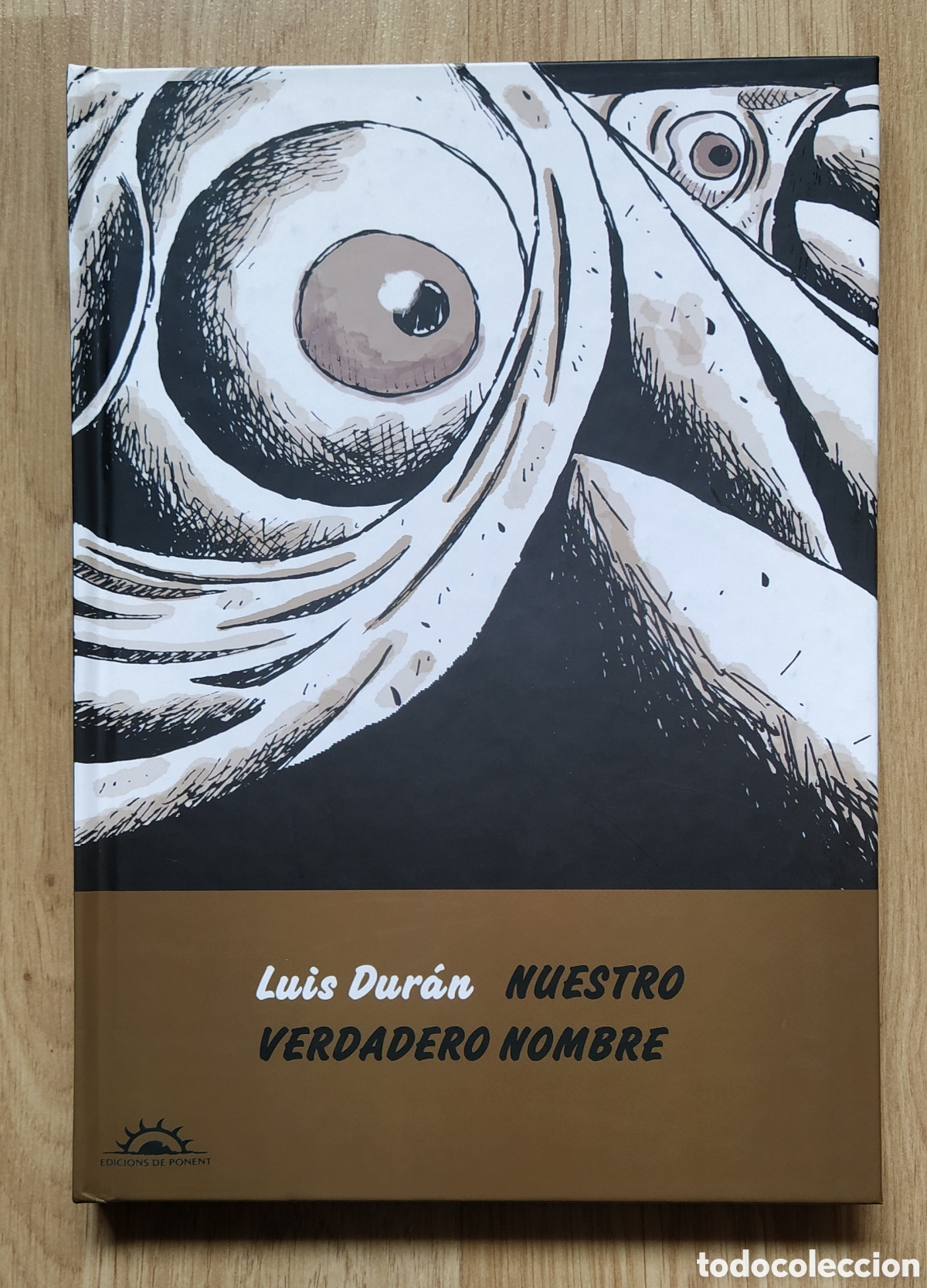C&oacute;mics: NUESTRO VERDADERO NOMBRE - LUIS DUR&Aacute;N - Foto 1