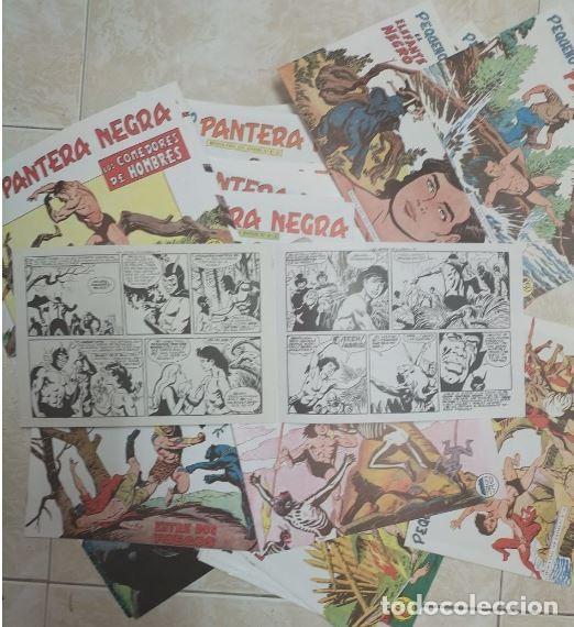 C&oacute;mics: COMIC - EL PEQUE&Ntilde;O PANTERA NEGRA 275 uni. - Foto 9