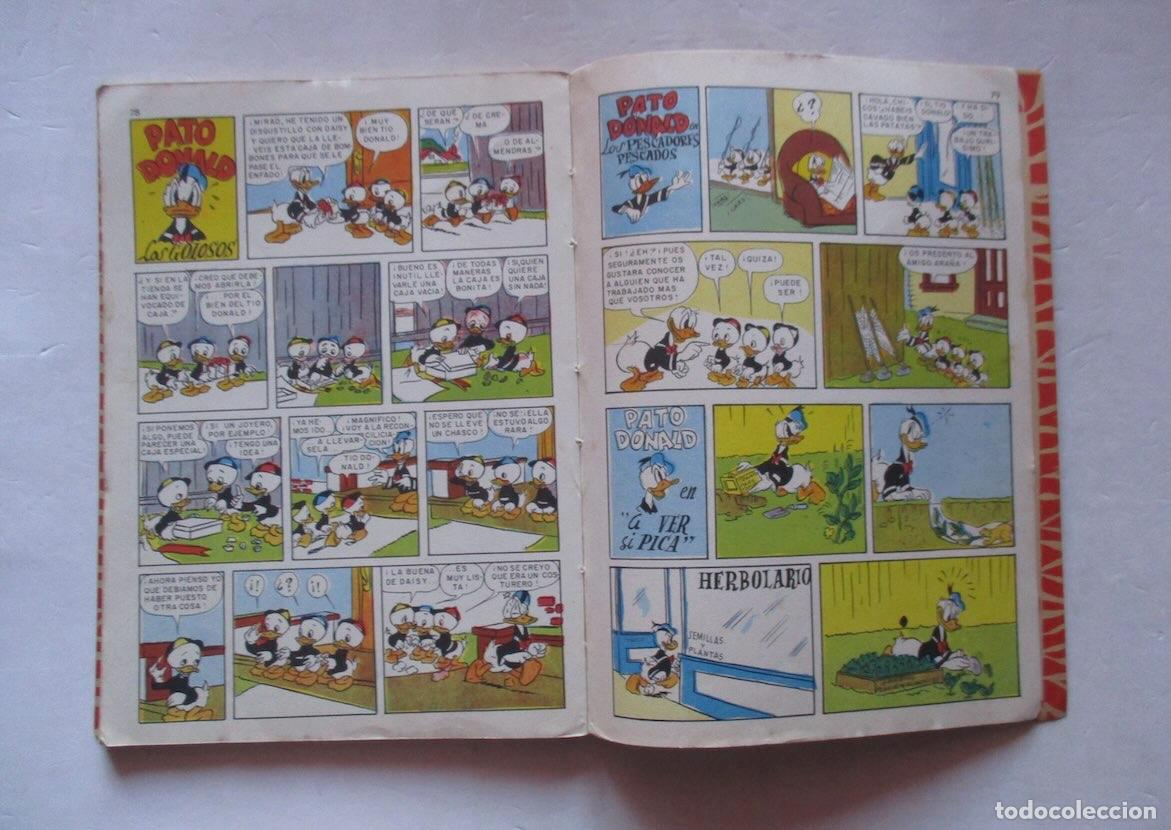 C&oacute;mics: EL IMPERIO DEL PEDRUSCO - WALT DISNEY - Foto 4