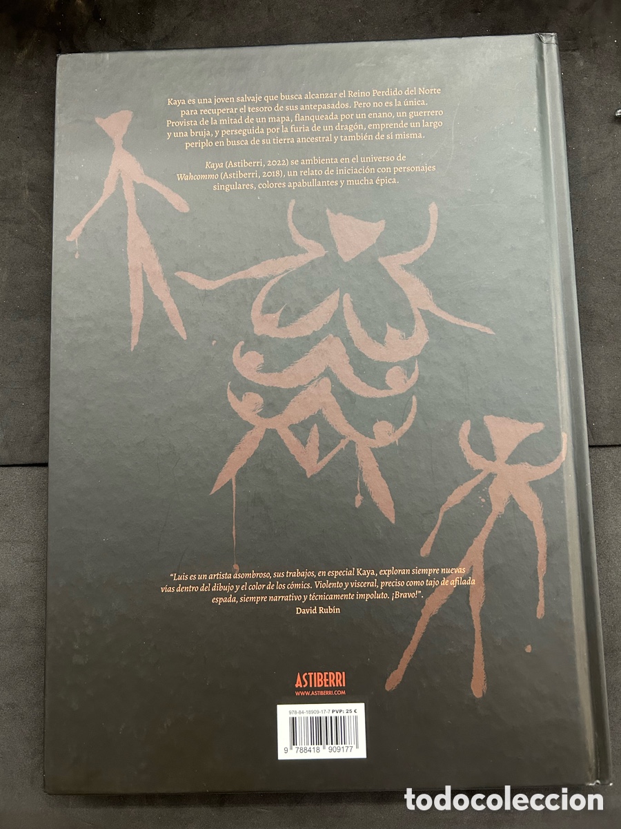 C&oacute;mics: KAYA LUIS NTC, astiberri - Foto 4