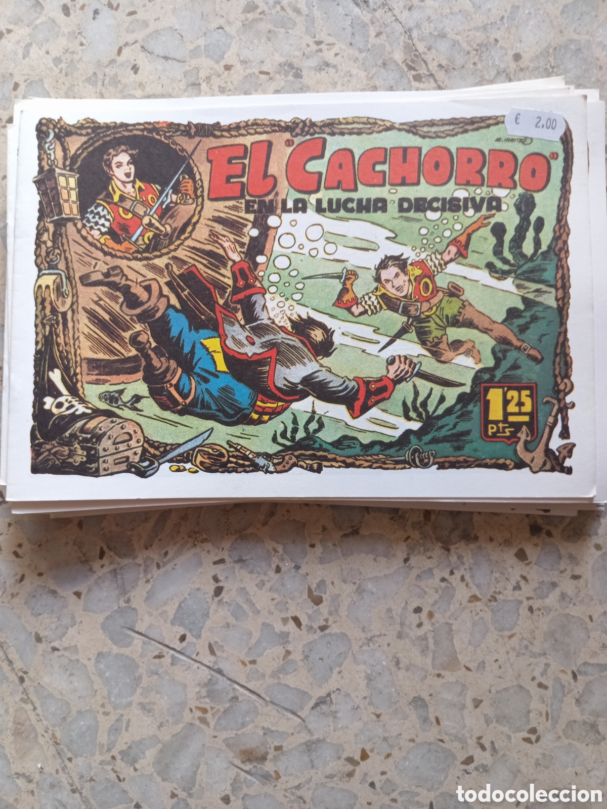 C&oacute;mics: EL CACHORRO EN LA LUCHA DECISIVA - Foto 1