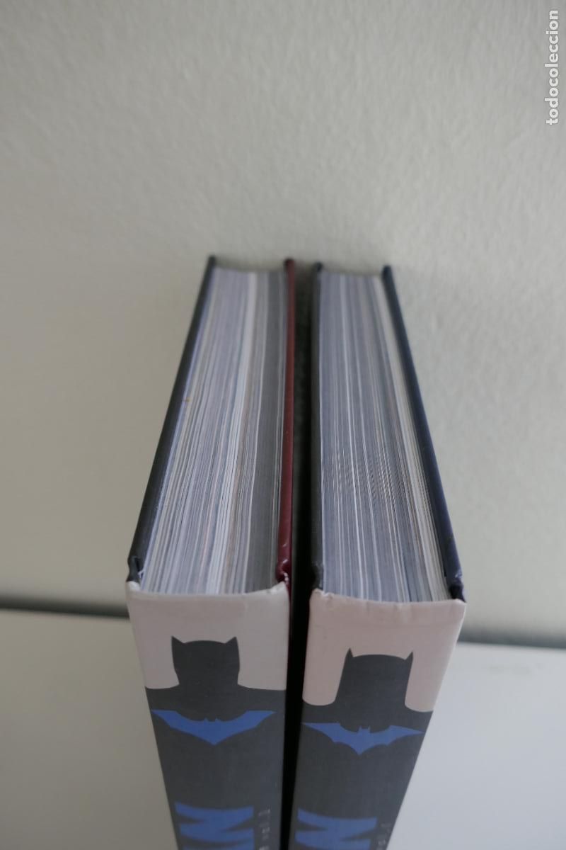 C&oacute;mics: BATMAN CRONOLOGIA 2010-2019 VOL. 1 y 2 . Excelente estado - Foto 4