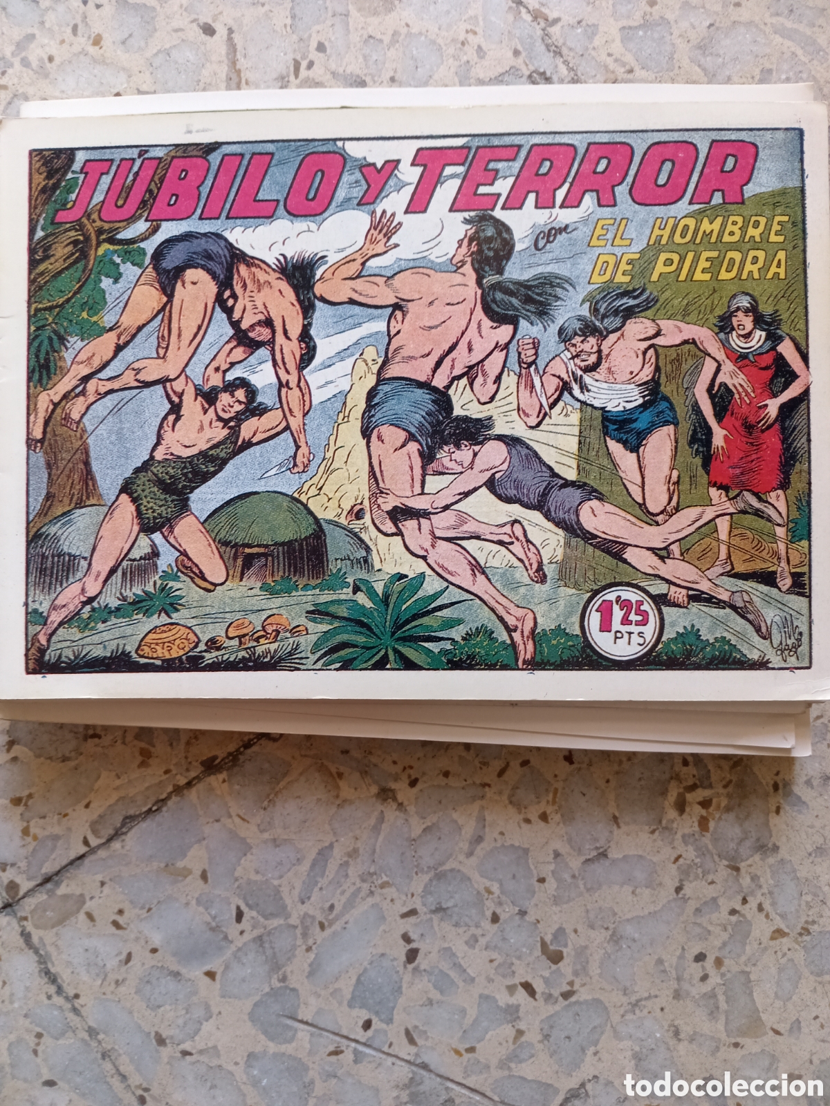 C&oacute;mics: EL HOMBRE DE PIEDRA JUBILO Y TERROR 8 NUMEROS - Foto 1