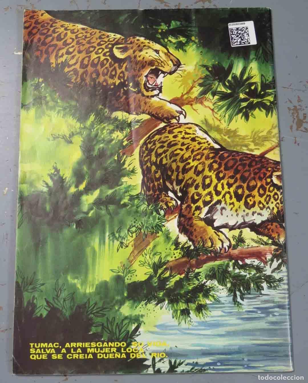 C&oacute;mics: TEBEOS-COMICS GOYO ■ TUMAC 12 - Foto 2