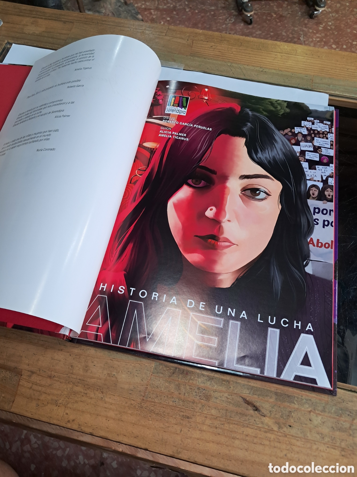 C&oacute;mics: Amelia, Historia de una lucha, Serendipia - Foto 2