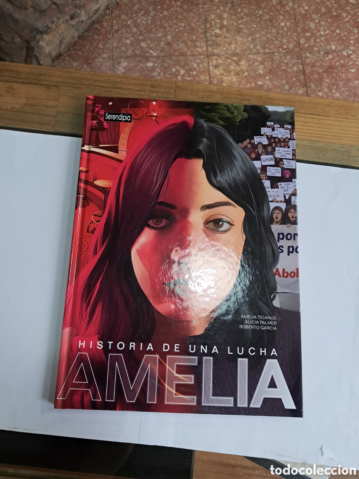 C&oacute;mics: Amelia, Historia de una lucha, Serendipia - Foto 1