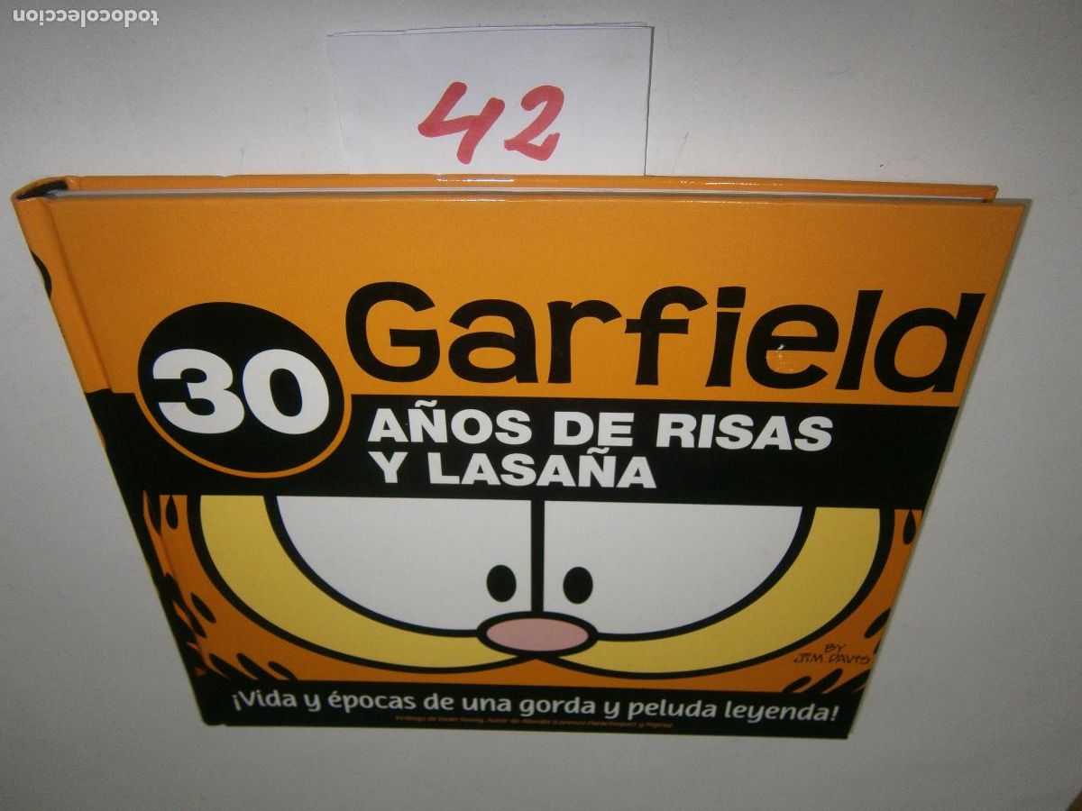 C&oacute;mics: ANTIGUO COMIC - GARFIELD - Foto 1