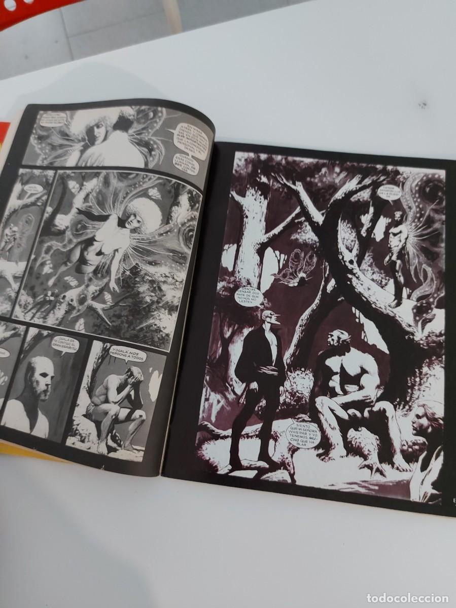 C&oacute;mics: LOTE EPIC N.&ordm; 1 Y 2 (DE 3). GRAPA. DISTRINOVEL. 1982. - Foto 16