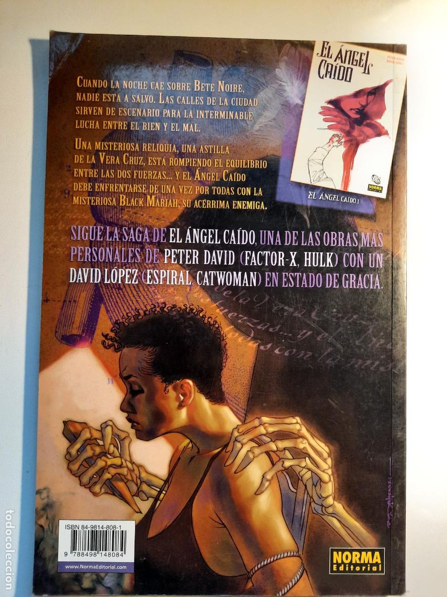 C&oacute;mics: EL &Aacute;NGEL CA&Iacute;DO N&ordm; 1 AL 5 - ED. NORMA - Foto 5
