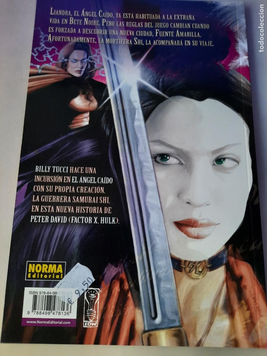 C&oacute;mics: EL &Aacute;NGEL CA&Iacute;DO N&ordm; 1 AL 5 - ED. NORMA - Foto 6