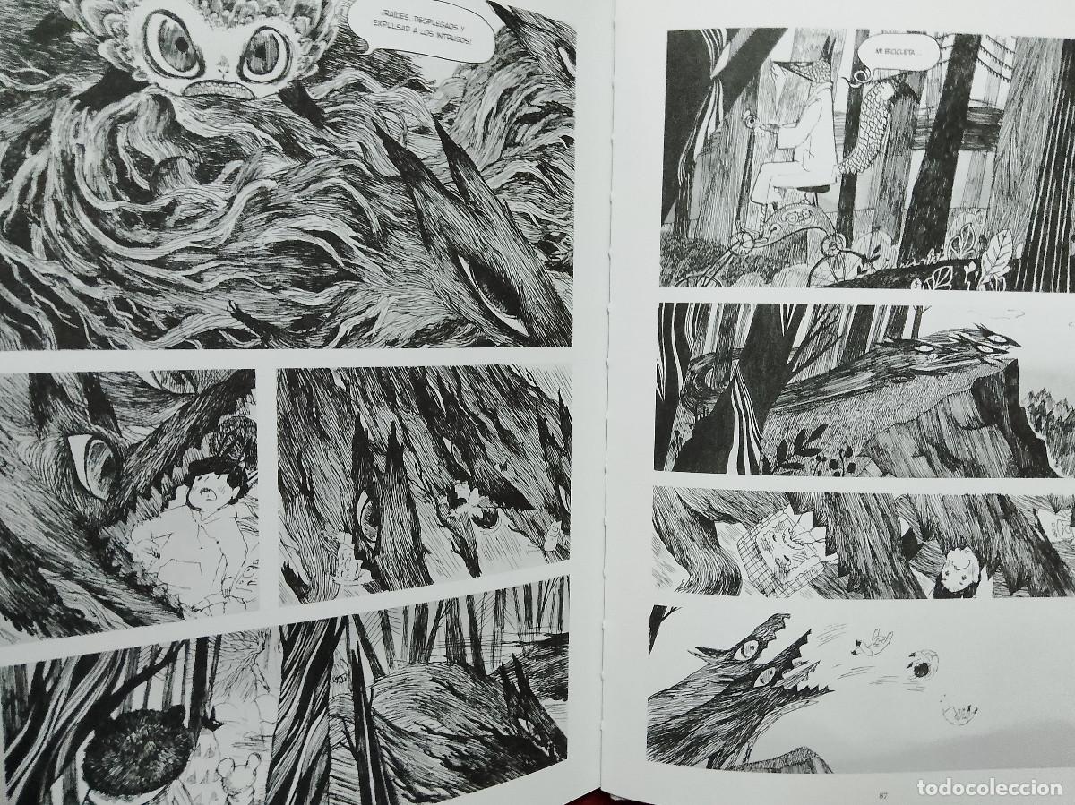 C&oacute;mics: Am&eacute;lie Fl&eacute;chais: El camino perdido (Ediciones Kraken. 2019) - Foto 4