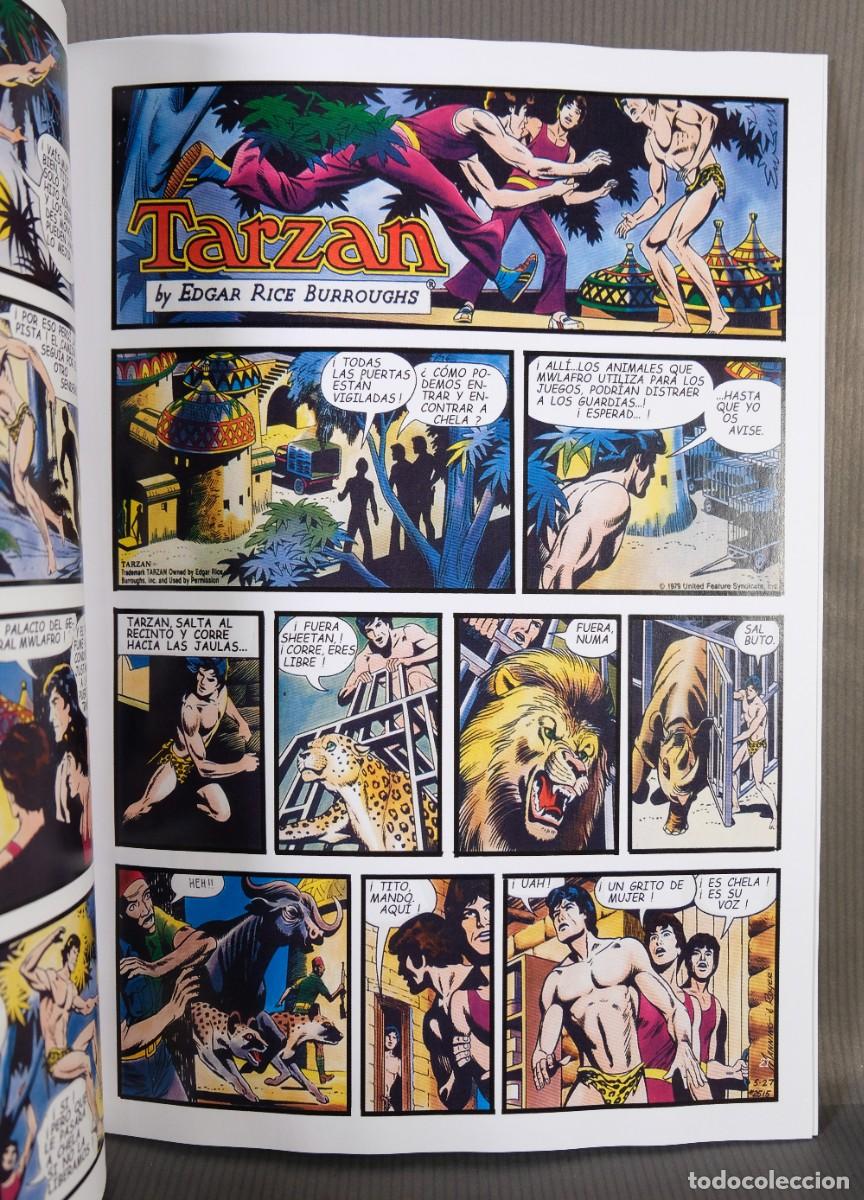 C&oacute;mics: Tarz&aacute;n - tiras del 2496 al 2546- Edgar Rice Burroughs - Foto 7