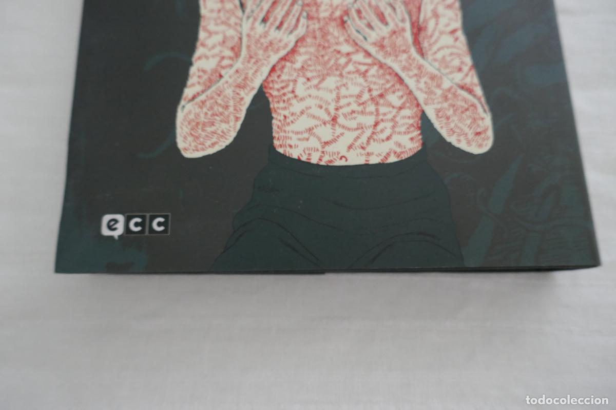 C&oacute;mics: Junji Ito: -Maestro del terror - Terror ins&oacute;lito - vol. 1 de 3 - ECC - Foto 3