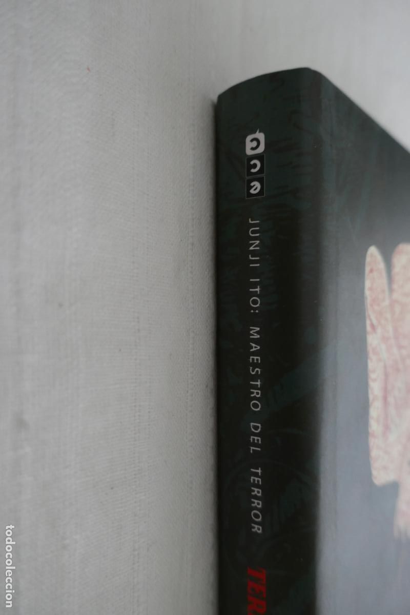 C&oacute;mics: Junji Ito: -Maestro del terror - Terror ins&oacute;lito - vol. 1 de 3 - ECC - Foto 5