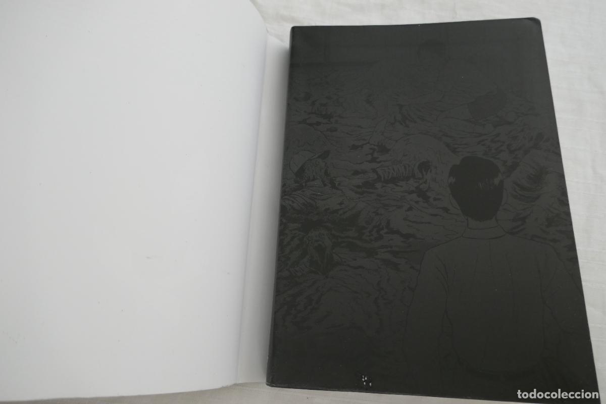 C&oacute;mics: Junji Ito: -Maestro del terror - Terror ins&oacute;lito - vol. 1 de 3 - ECC - Foto 26