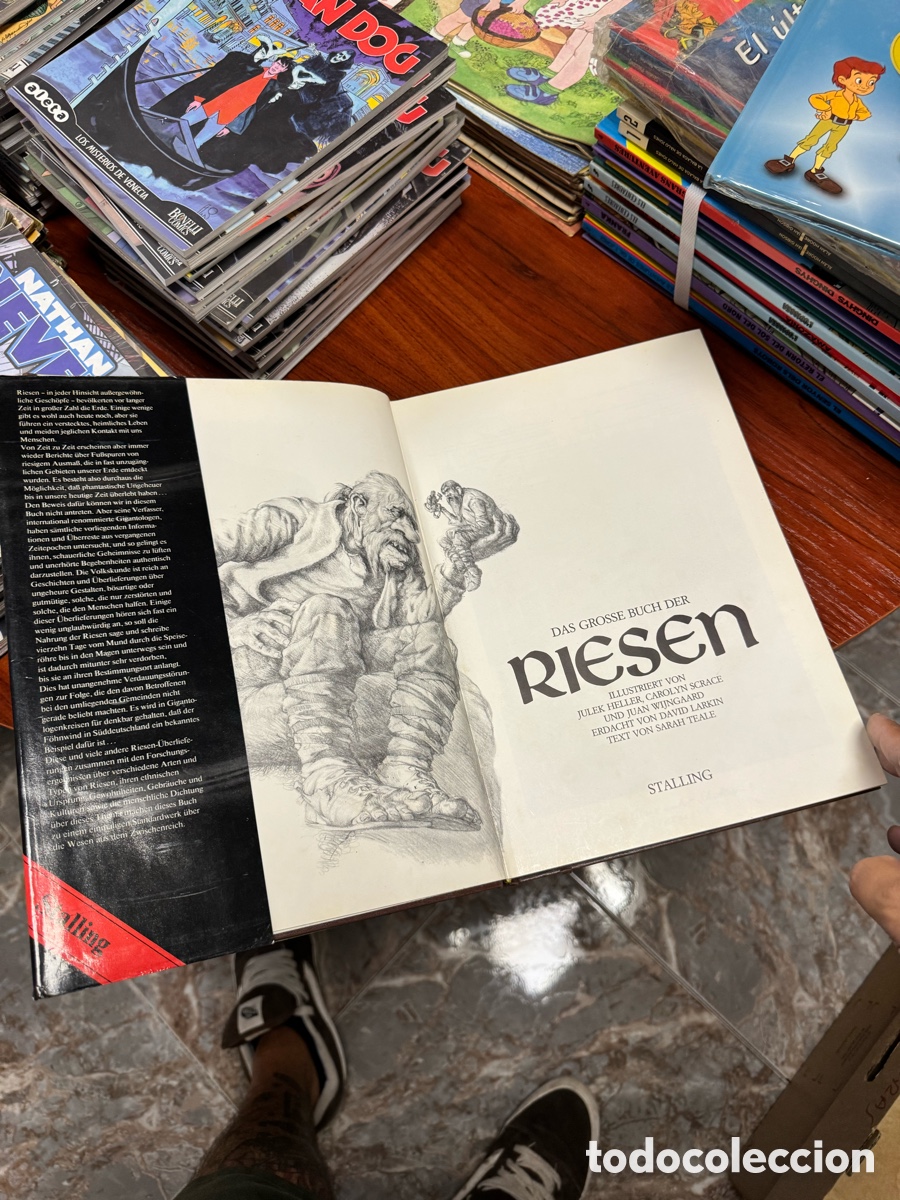 C&oacute;mics: Das grosse Buch der Riesen stalling - Foto 3