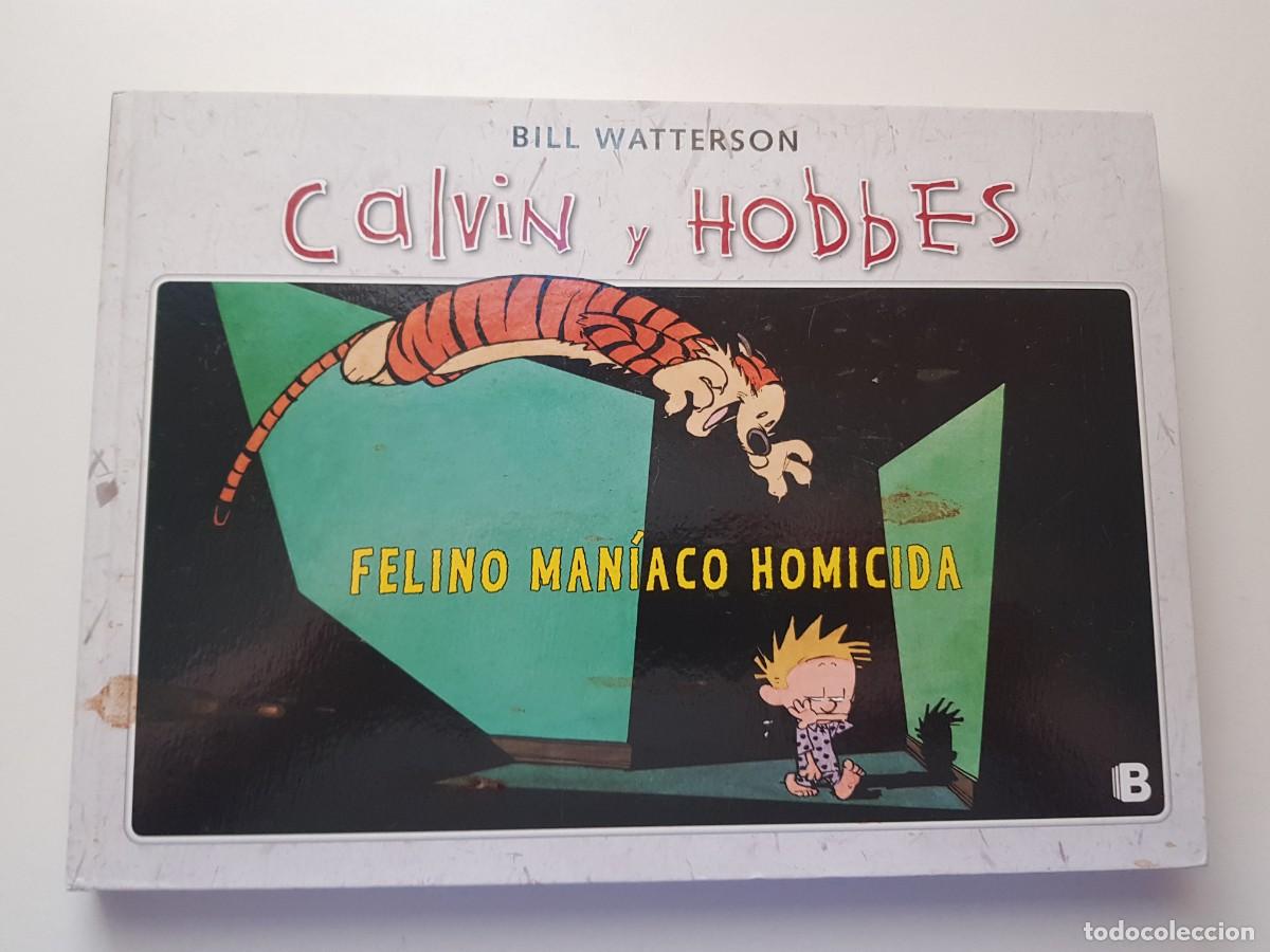 C&oacute;mics: COLECCION COMPLETA CALVIN Y HOBBES. 10 TOMOS. EDICIONES B. 2012 - Foto 12