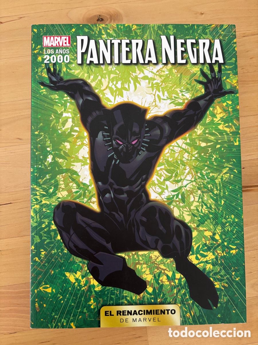 C&oacute;mics: Pantera Negra &ndash; El Renacimiento de Marvel (Panini, 2021) - Foto 1