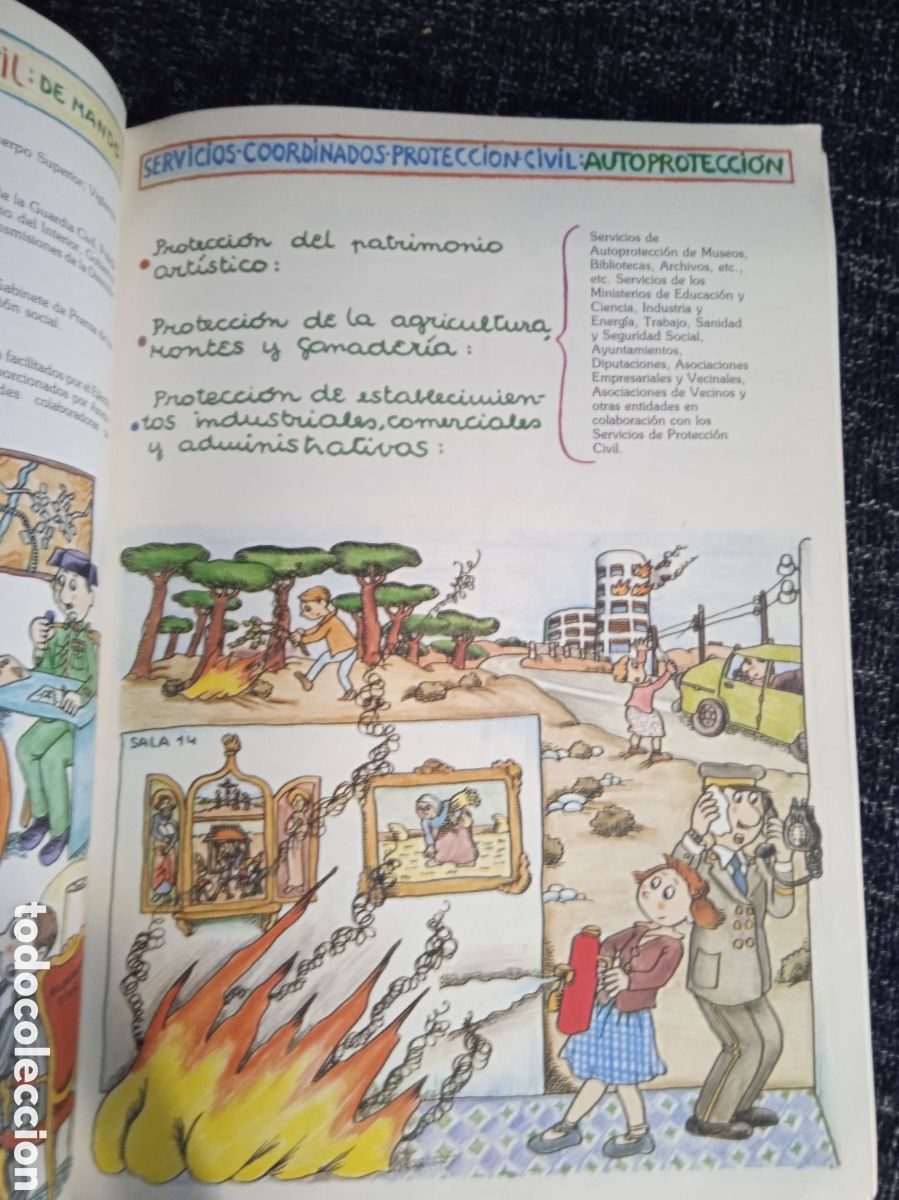 C&oacute;mics: &iquest;QUE ES LA PROTECCION CIVIL? - ILUSTRADO - Foto 2